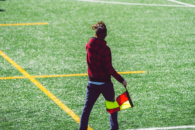 系的完善与 系的完善与