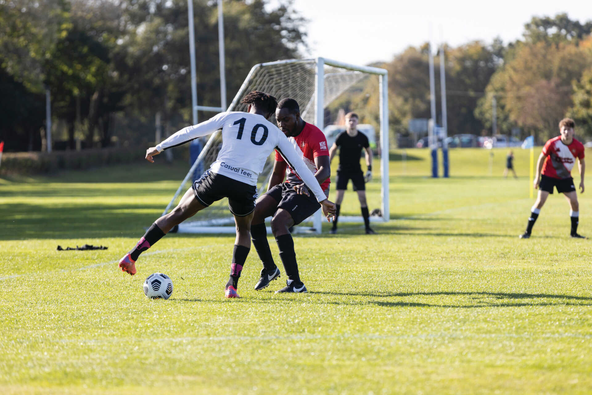 灵活调整自 灵活调整自