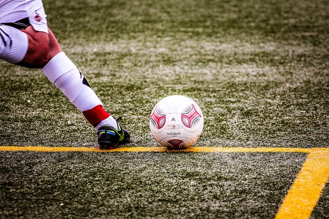 球场质量与 球场质量与