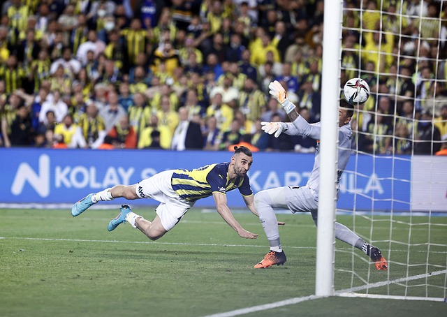 西班牙國家隊歷屆世界杯戰績.