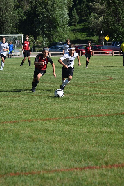 篮球世界中 篮球世界中