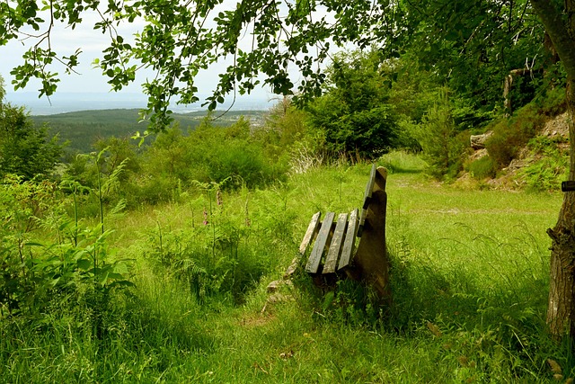 前几届比赛 前几届比赛