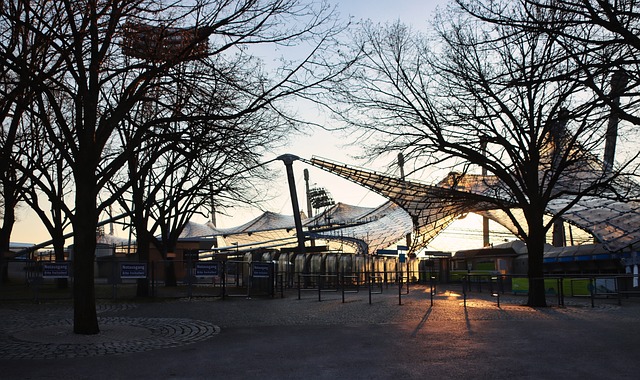 来了更多元 来了更多元