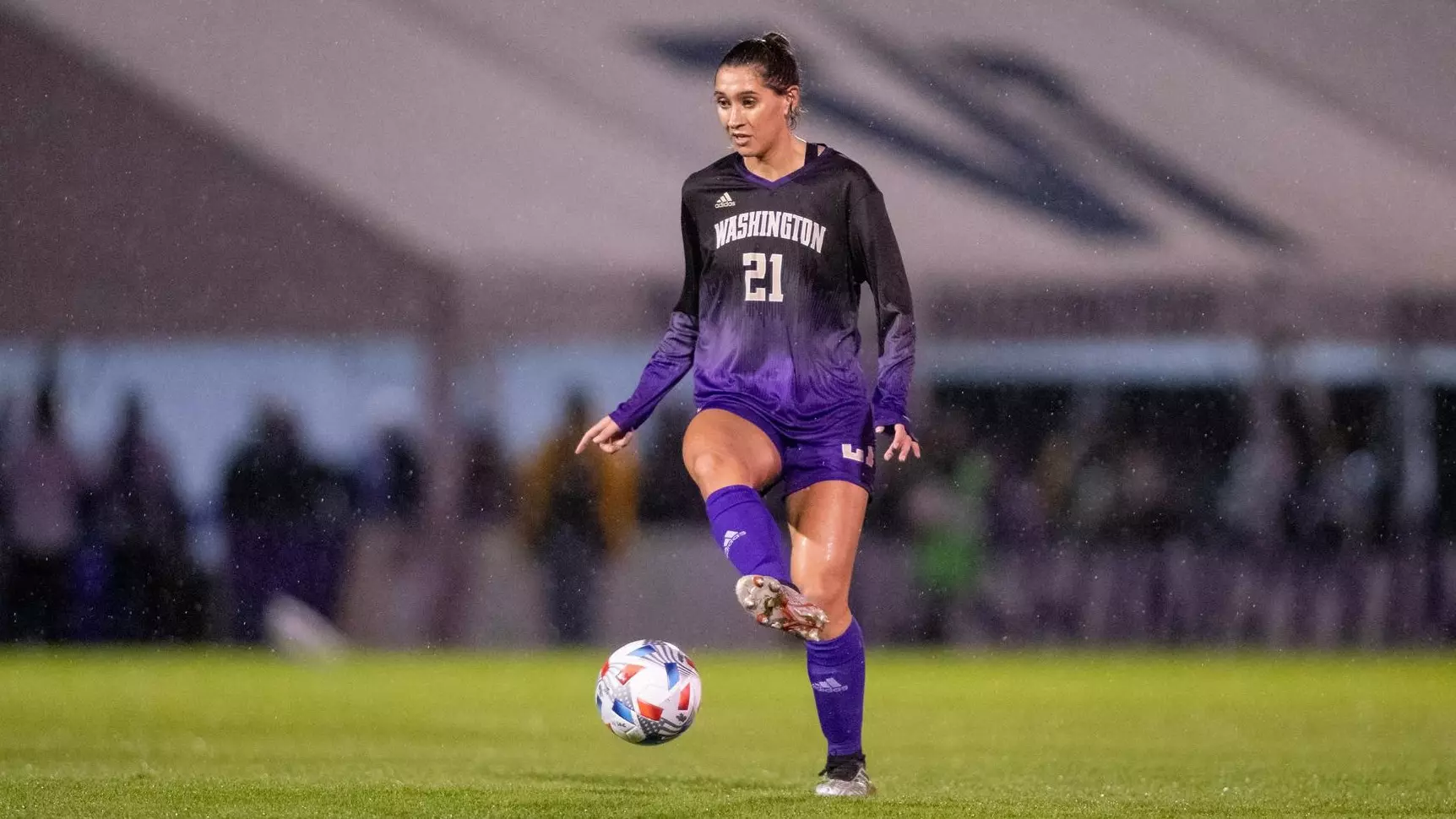 中央及其他 中央及其他