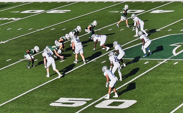 速赢得了无 速赢得了无